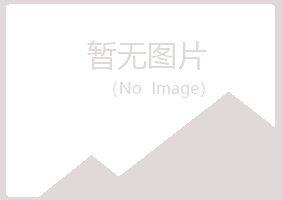 鹤岗兴山平庸能源有限公司